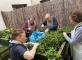  Atelier jardinage avec les résidents du PASA  Résidence Ornano Paris